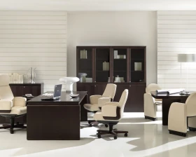 Кабинет руководителя Eur images