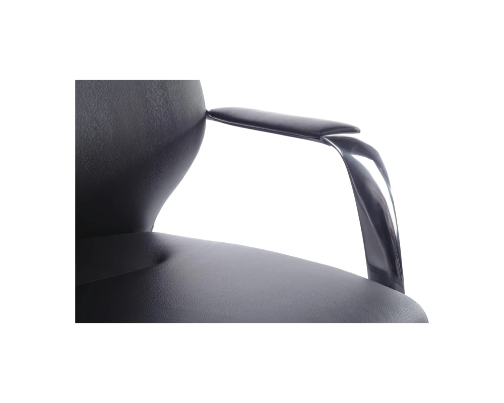 Кресло RV ДИЗАЙН Алонзо-М / Alonzo-M (В1711)