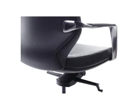 Кресло RV ДИЗАЙН Алонзо-М / Alonzo-M (В1711) images